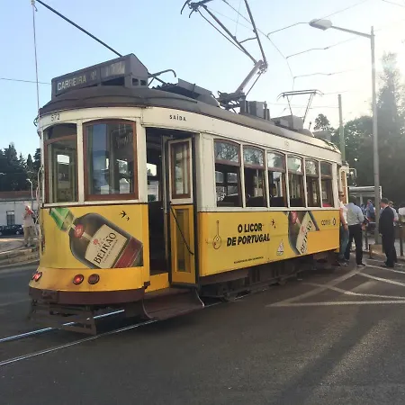 Santa Cruz *